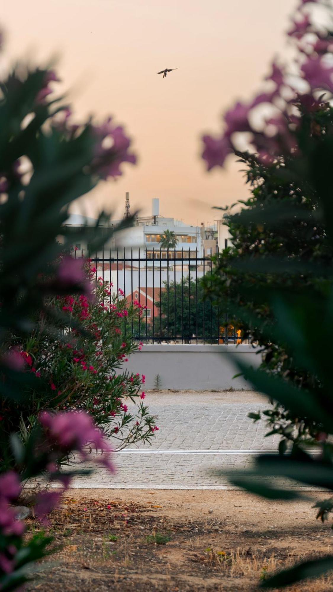Acropolis View 2Br Apartment Αθήνα Εξωτερικό φωτογραφία